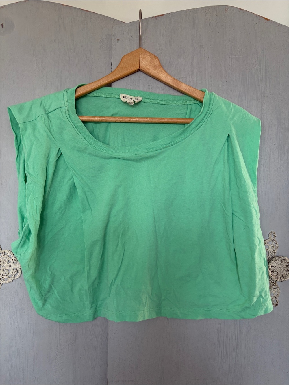 Etica Mint Green Cropped Sleeveless Top